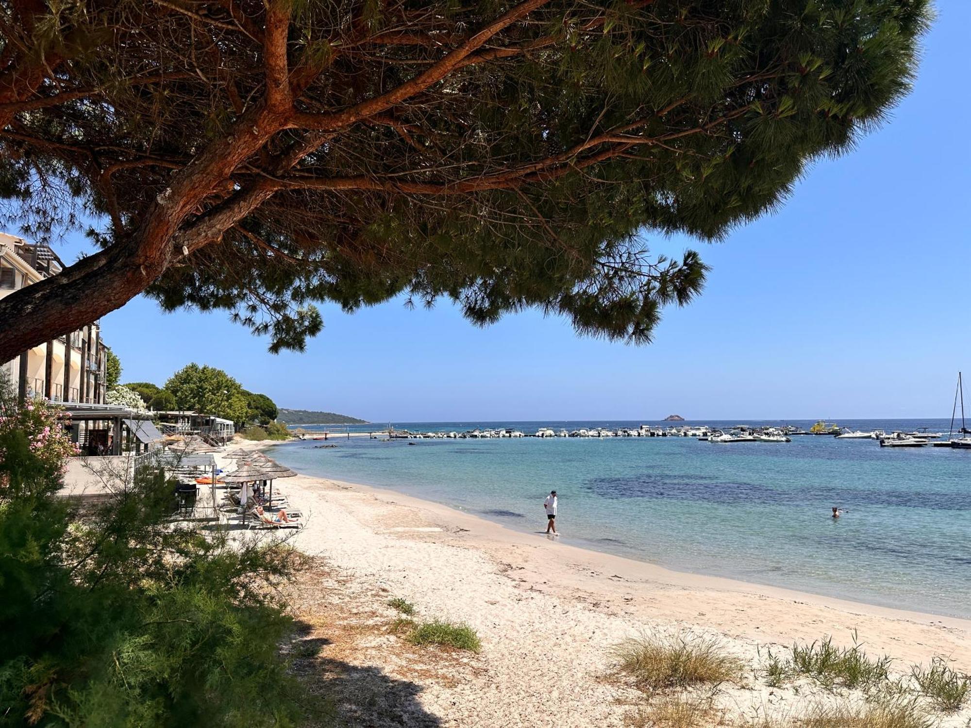 Charmant 2 Piece Tout Equipe Climatise Sainte-Lucie de Porto-Vecchio Zewnętrze zdjęcie